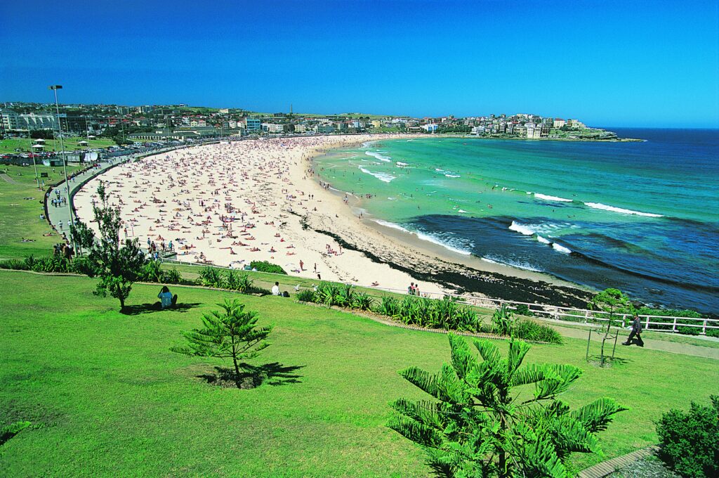 Bondi - a service area of phoenix painting sydney