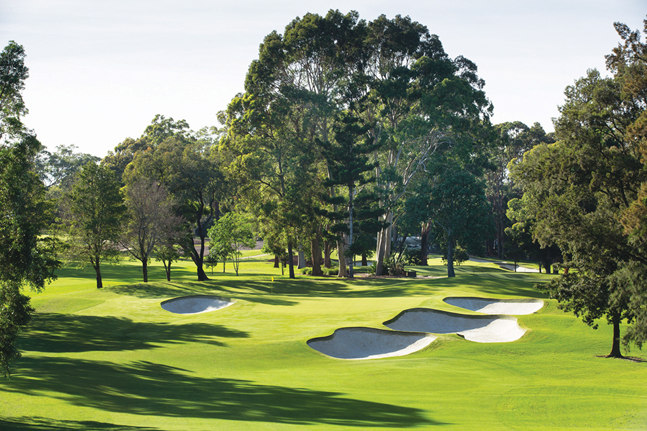 Killara- a service area of phoenix painting sydney