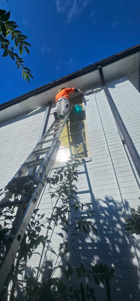 Heights painting sydney by phoenix painting sydney